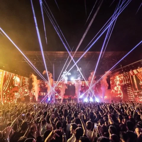Brooklyn Mirage #VJ #Afrojack #Dvizion

. 📷 @fritsvandeclips